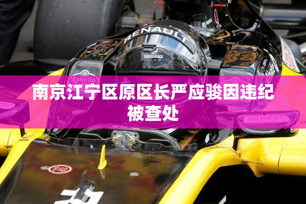 南京江宁区原区长严应骏因违纪被查处