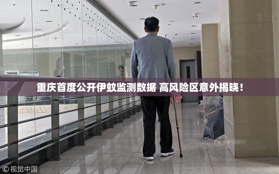 重庆首度公开伊蚊监测数据 高风险区意外揭晓！