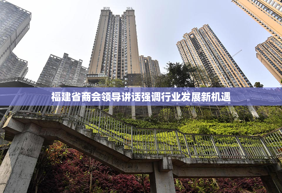 福建省商会领导讲话强调行业发展新机遇