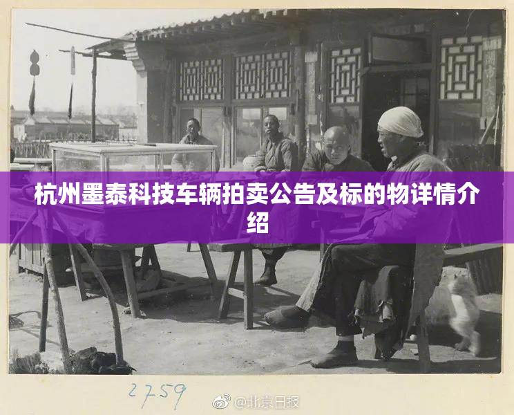 杭州墨泰科技车辆拍卖公告及标的物详情介绍