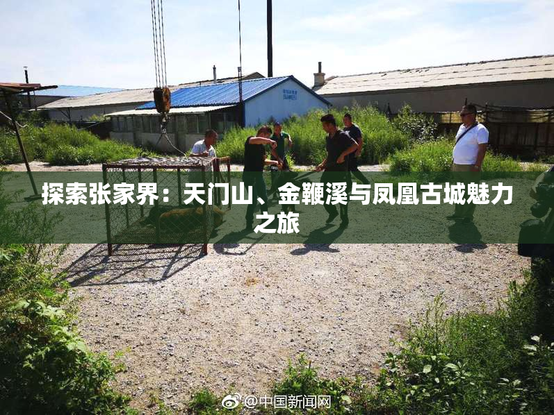 探索张家界：天门山、金鞭溪与凤凰古城魅力之旅