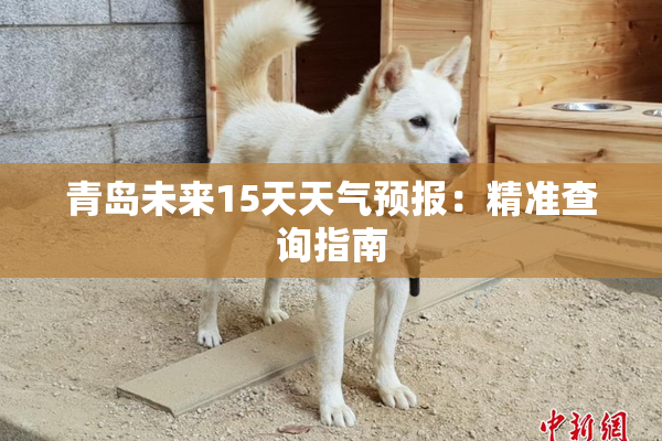 青岛未来15天天气预报：精准查询指南