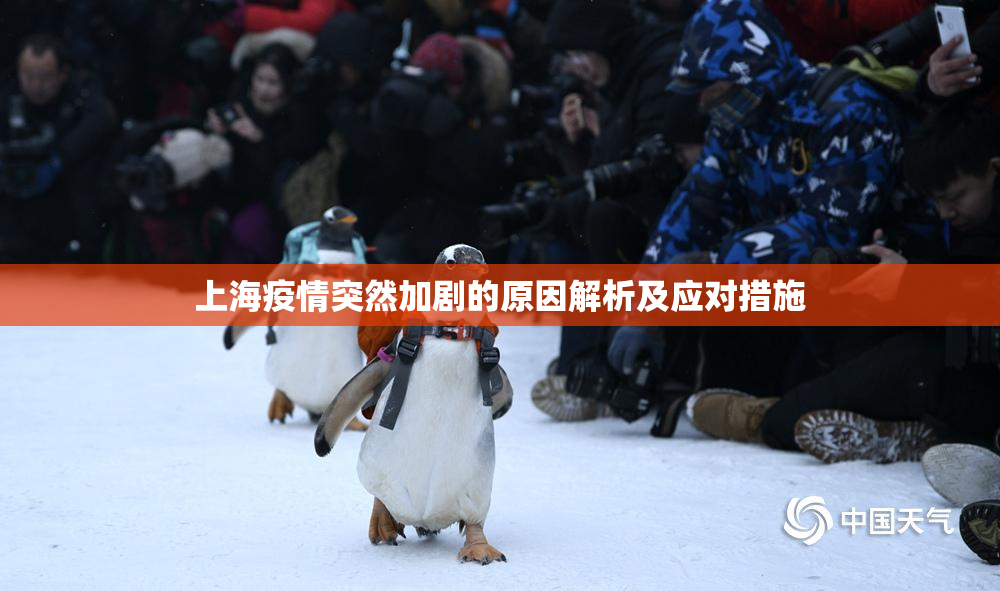上海疫情突然加剧的原因解析及应对措施