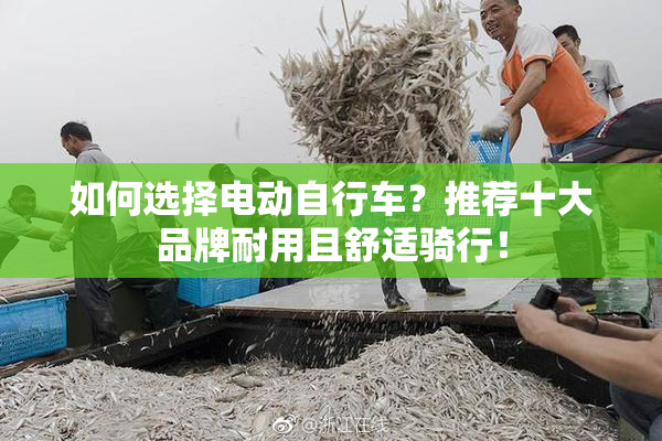 如何选择电动自行车？推荐十大品牌耐用且舒适骑行！
