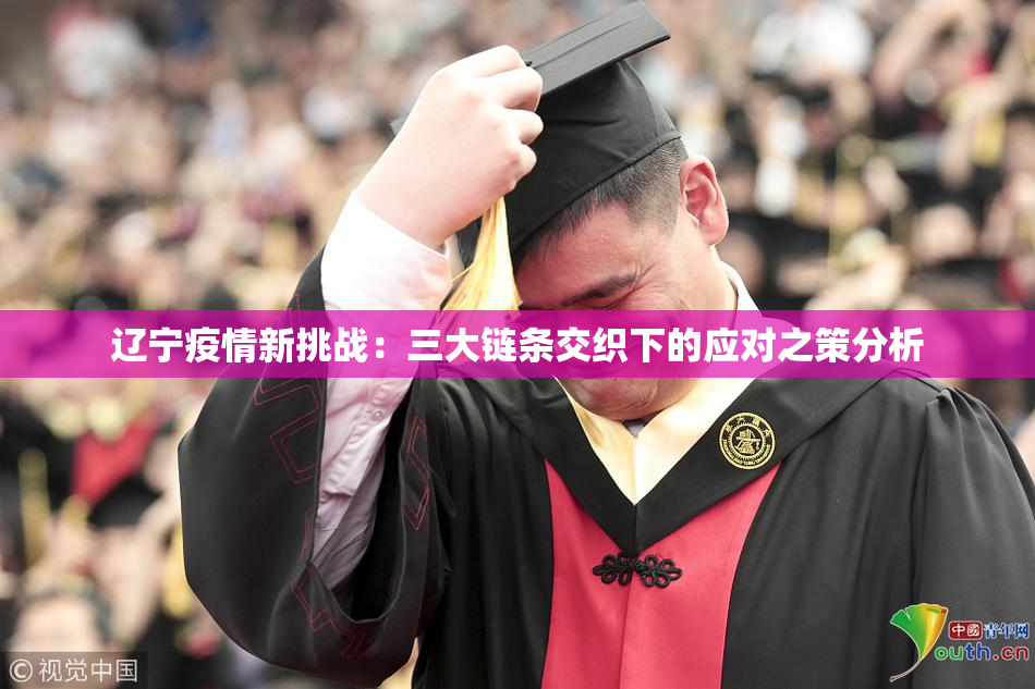 辽宁疫情新挑战：三大链条交织下的应对之策分析