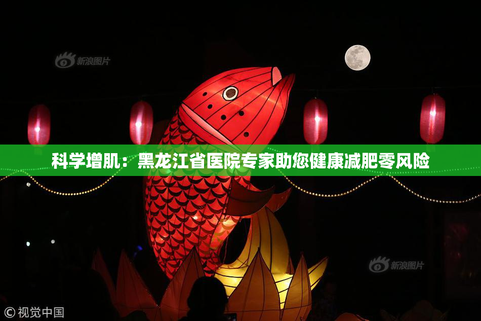 科学增肌：黑龙江省医院专家助您健康减肥零风险