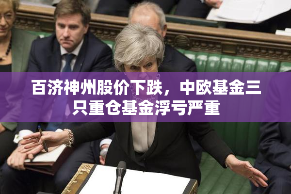 百济神州股价下跌，中欧基金三只重仓基金浮亏严重