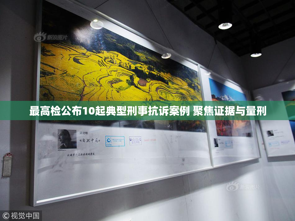 最高检公布10起典型刑事抗诉案例 聚焦证据与量刑