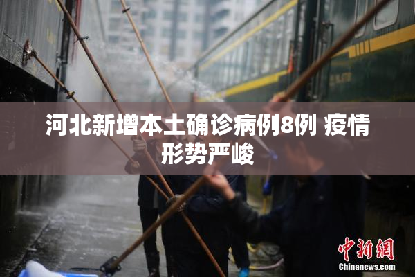 河北新增本土确诊病例8例 疫情形势严峻