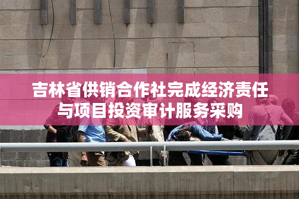 吉林省供销合作社完成经济责任与项目投资审计服务采购