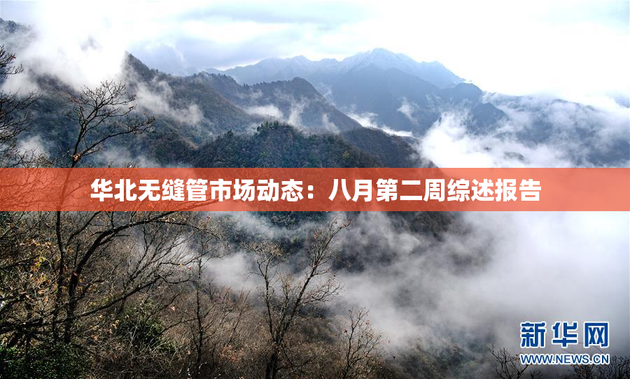 华北无缝管市场动态：八月第二周综述报告