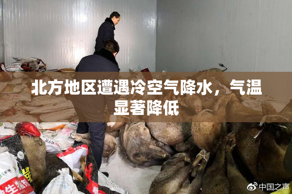 北方地区遭遇冷空气降水，气温显著降低