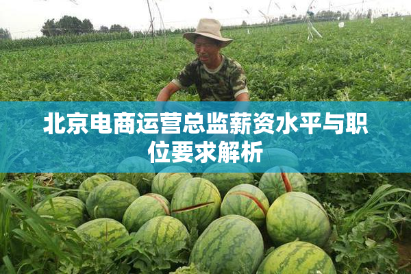 北京电商运营总监薪资水平与职位要求解析