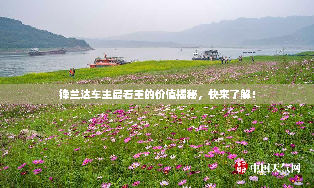 锋兰达车主最看重的价值揭秘，快来了解！