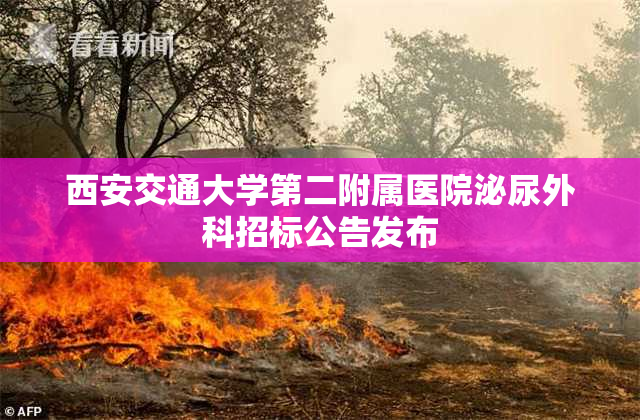 西安交通大学第二附属医院泌尿外科招标公告发布