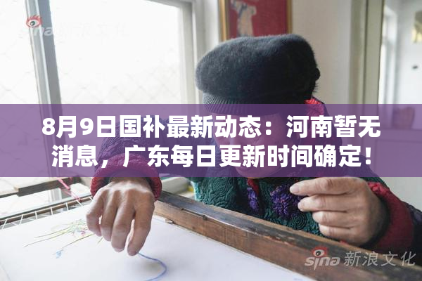 8月9日国补最新动态：河南暂无消息，广东每日更新时间确定！