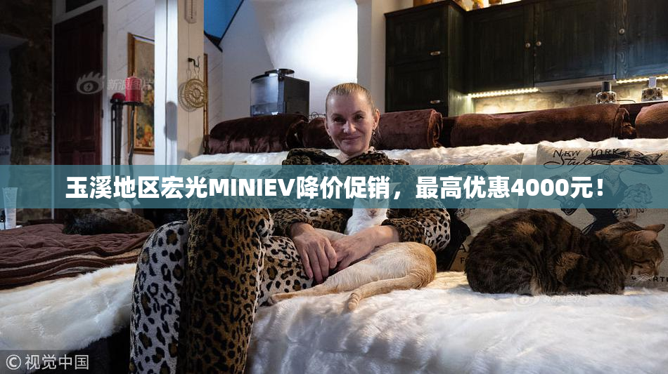 玉溪地区宏光MINIEV降价促销，最高优惠4000元！