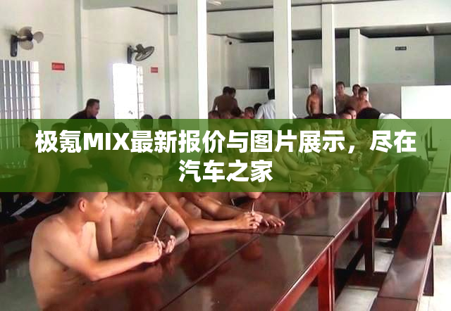 极氪MIX最新报价与图片展示，尽在汽车之家