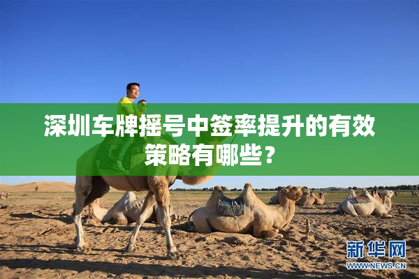 深圳车牌摇号中签率提升的有效策略有哪些？