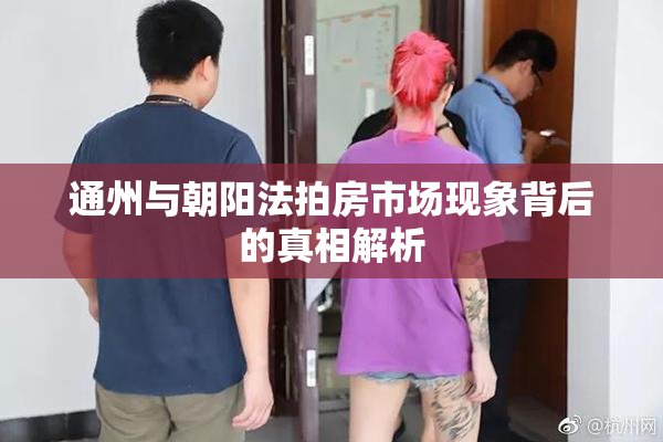 通州与朝阳法拍房市场现象背后的真相解析