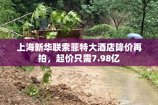 上海新华联索菲特大酒店降价再拍，起价只需7.98亿