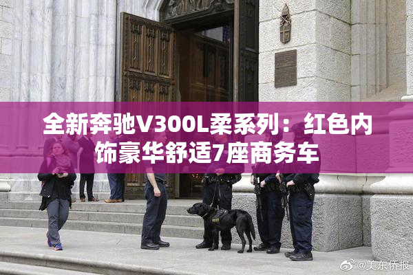 全新奔驰V300L柔系列：红色内饰豪华舒适7座商务车