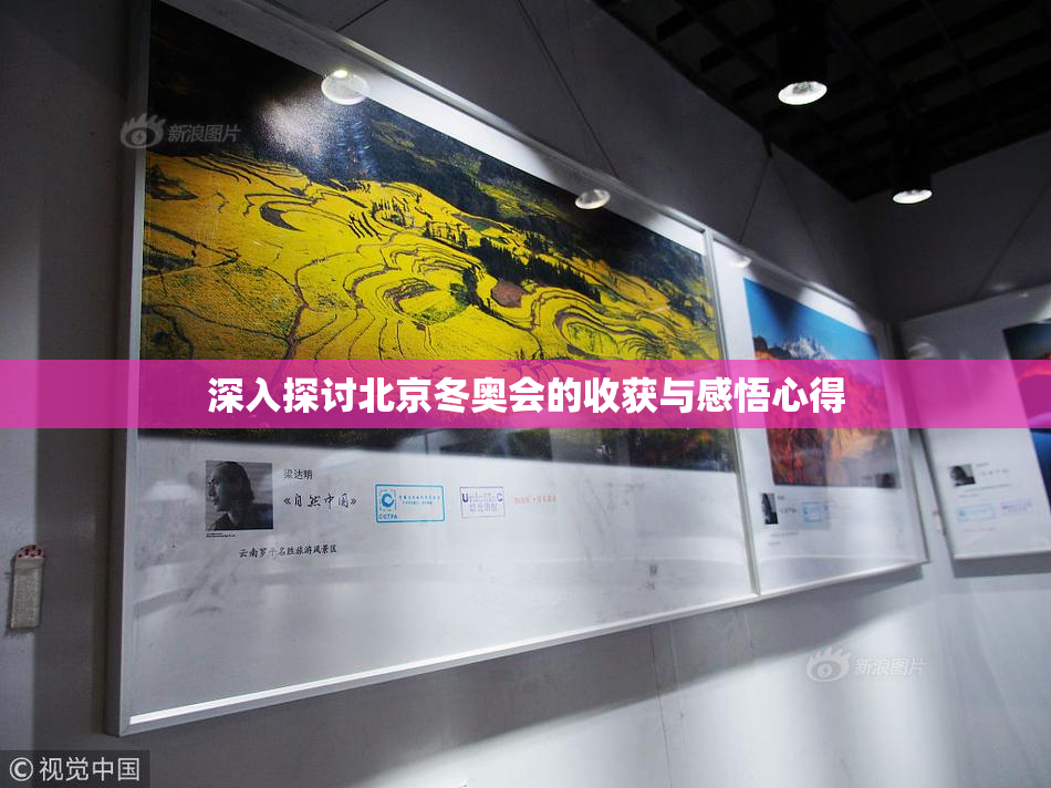 深入探讨北京冬奥会的收获与感悟心得