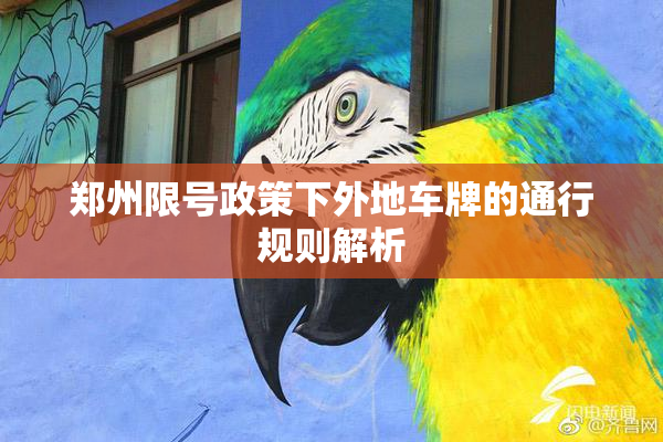 郑州限号政策下外地车牌的通行规则解析