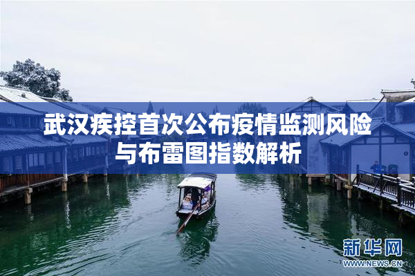 武汉疾控首次公布疫情监测风险与布雷图指数解析