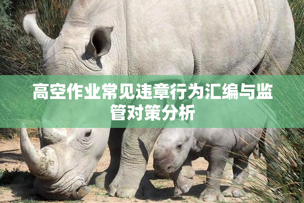 高空作业常见违章行为汇编与监管对策分析