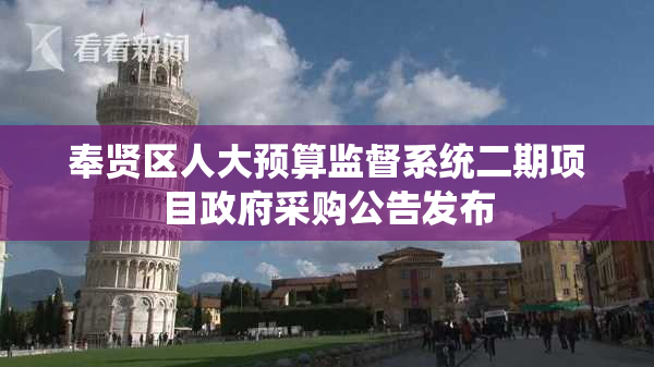 奉贤区人大预算监督系统二期项目政府采购公告发布