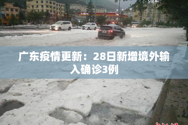 广东疫情更新：28日新增境外输入确诊3例