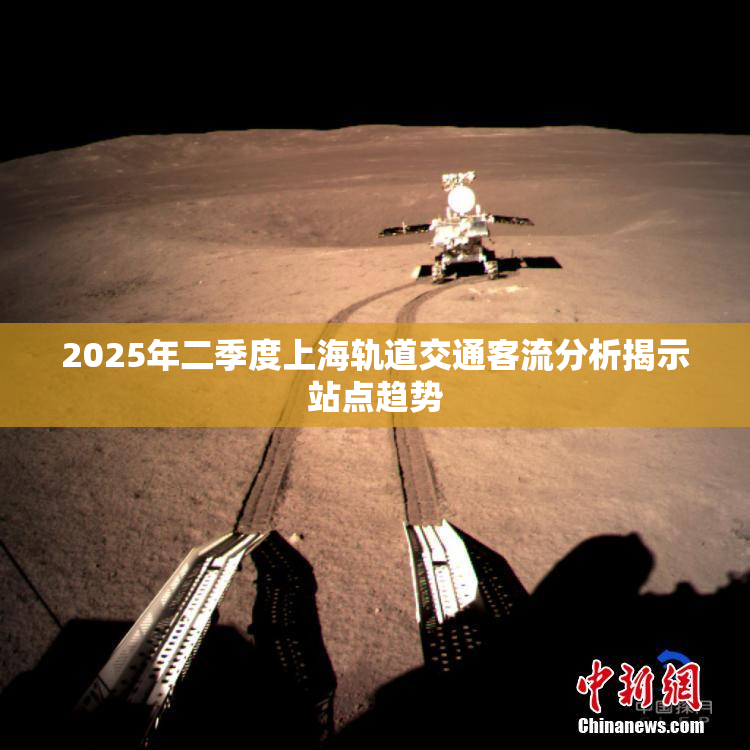 2025年二季度上海轨道交通客流分析揭示站点趋势