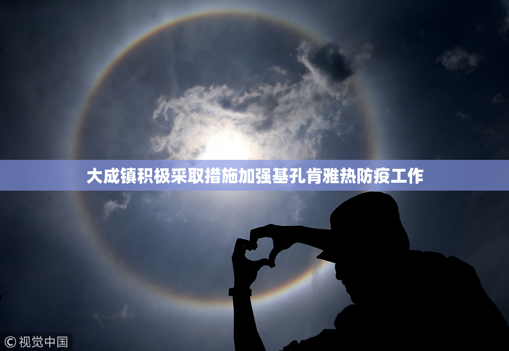 大成镇积极采取措施加强基孔肯雅热防疫工作