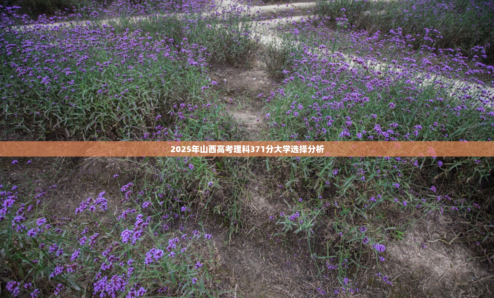 2025年山西高考理科371分大学选择分析