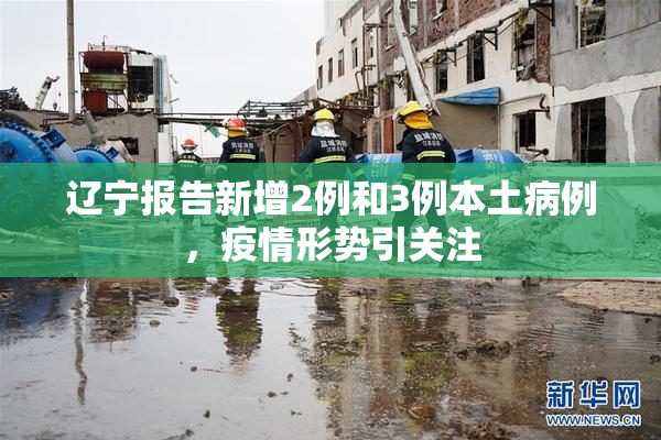 辽宁报告新增2例和3例本土病例，疫情形势引关注