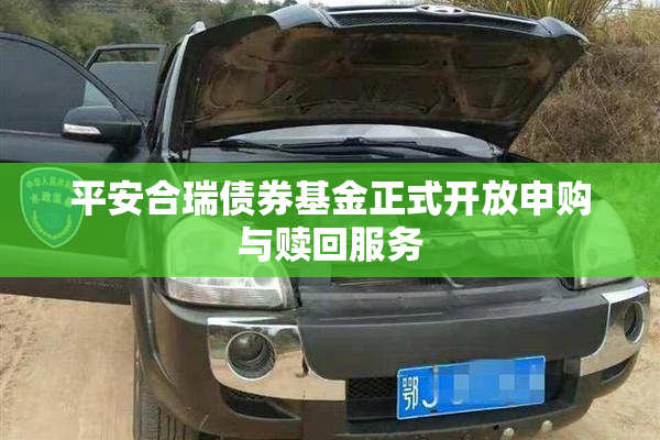平安合瑞债券基金正式开放申购与赎回服务