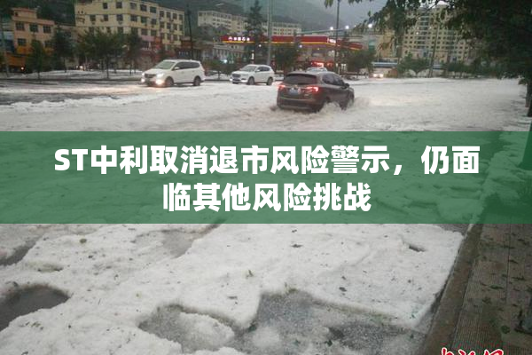 ST中利取消退市风险警示，仍面临其他风险挑战