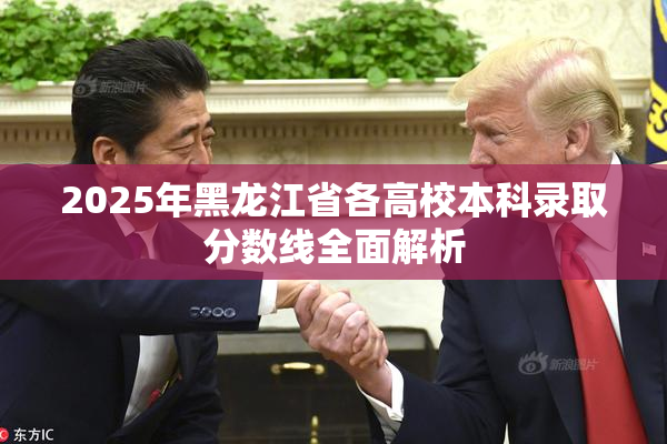 2025年黑龙江省各高校本科录取分数线全面解析