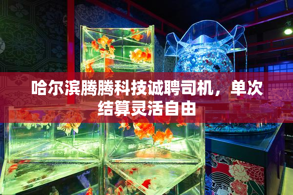 哈尔滨腾腾科技诚聘司机，单次结算灵活自由