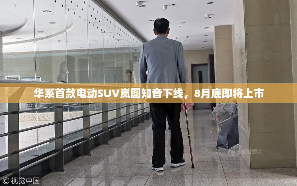 华系首款电动SUV岚图知音下线，8月底即将上市