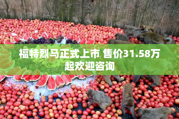 福特烈马正式上市 售价31.58万起欢迎咨询