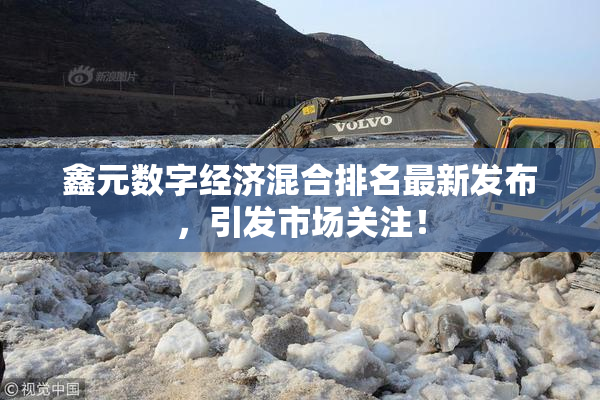 鑫元数字经济混合排名最新发布，引发市场关注！