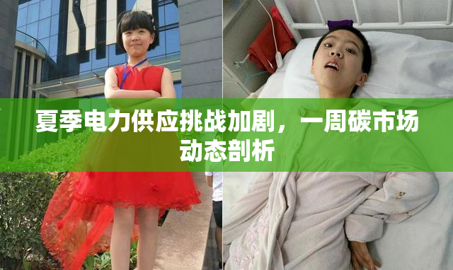 夏季电力供应挑战加剧，一周碳市场动态剖析