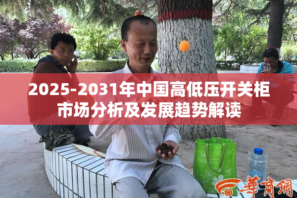 2025-2031年中国高低压开关柜市场分析及发展趋势解读