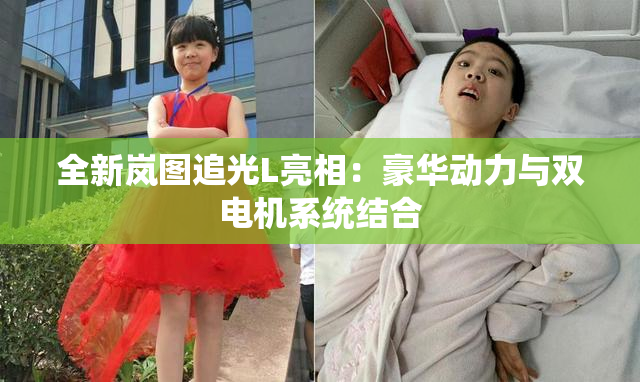 全新岚图追光L亮相：豪华动力与双电机系统结合