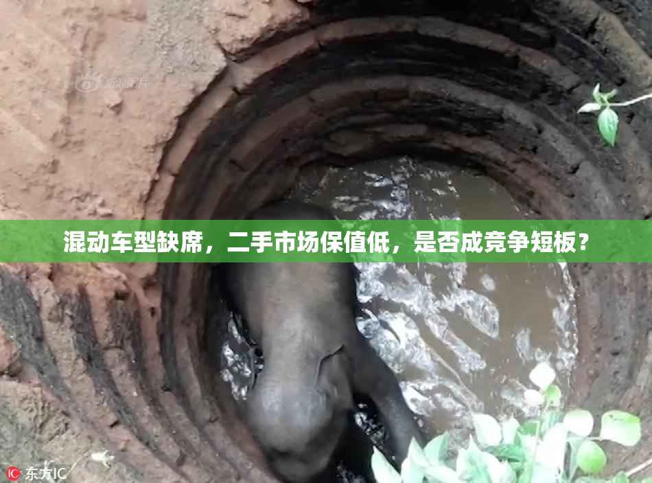 混动车型缺席，二手市场保值低，是否成竞争短板？