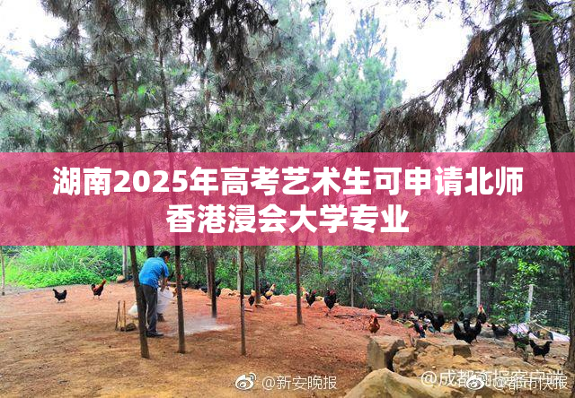 湖南2025年高考艺术生可申请北师香港浸会大学专业