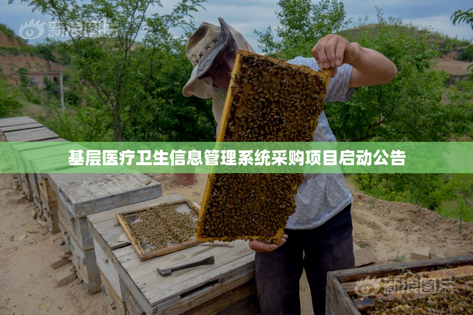 基层医疗卫生信息管理系统采购项目启动公告
