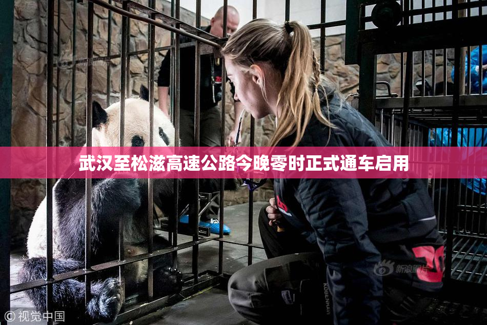 武汉至松滋高速公路今晚零时正式通车启用